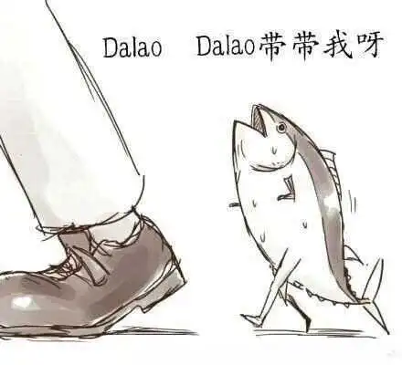 西檬之家斯慕圈现状深度解析 一