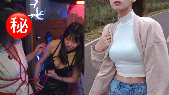 西檬之家s属性是指什么? 一