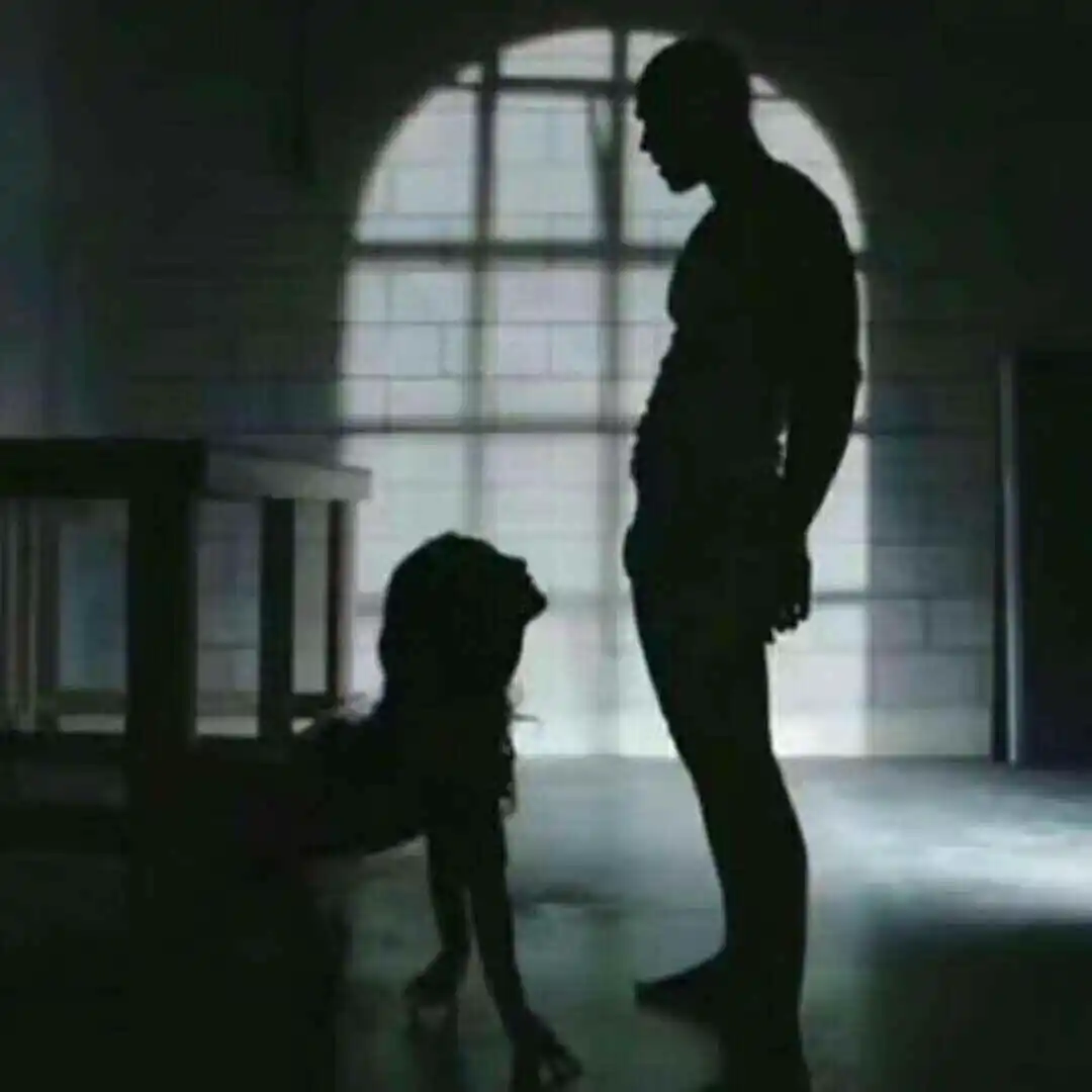西檬之家k9犬系新人如何入门? 一