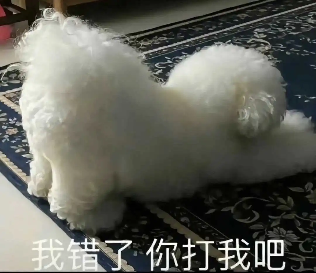 西檬之家Tickle是什么?字母圈新人入圈 一