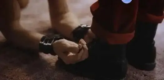西檬之家字母圈中s属性是什么意思? 一