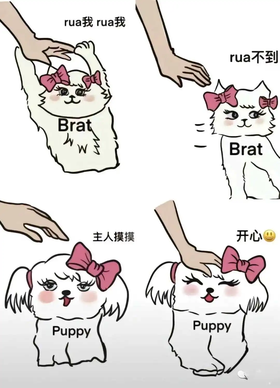 西檬之家圣水是什么意思?字母圈新人必看 一