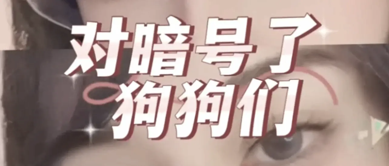 西檬之家k9犬系怎么入?字母圈新人入门 一
