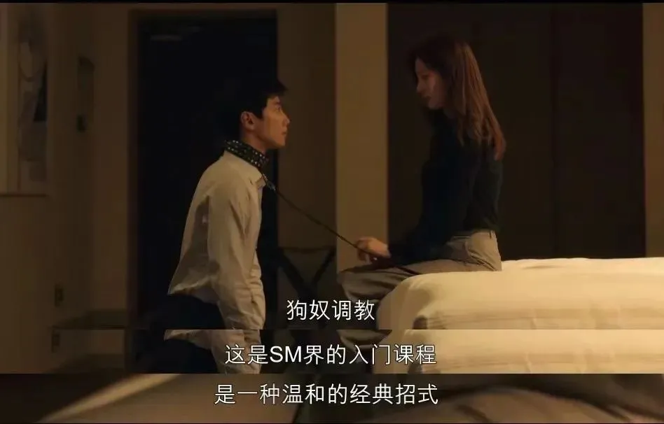 西檬之家k9犬系是什么?你的属性是主还是犬? 一