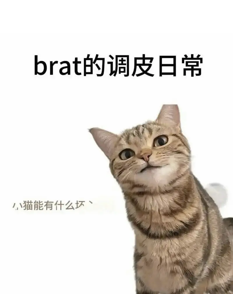 西檬之家BDSM新手入门指南 一
