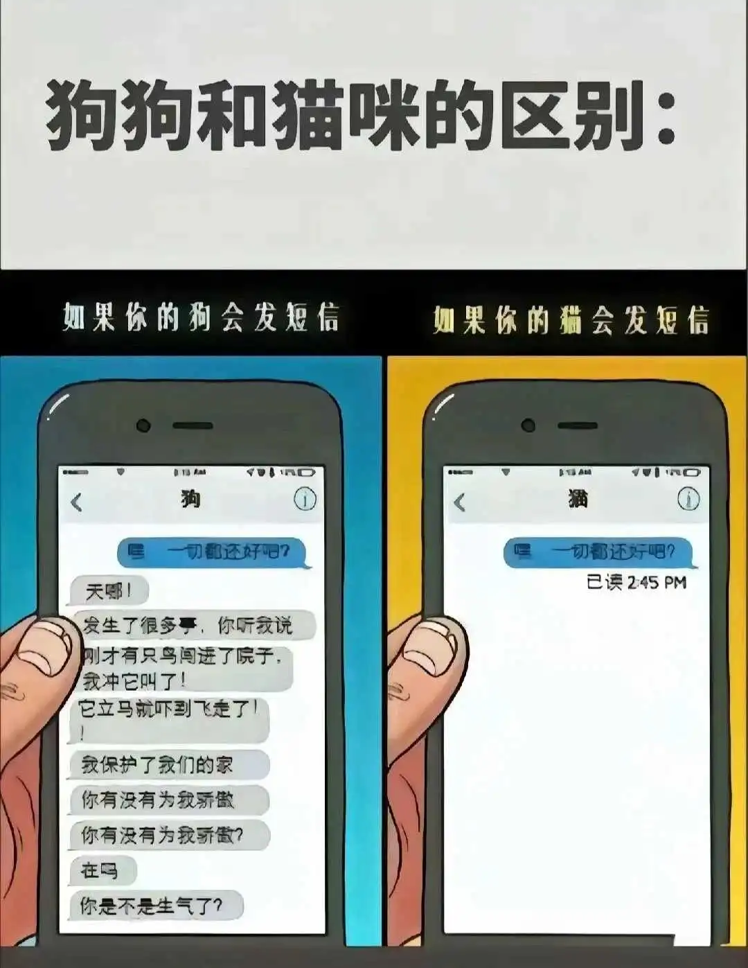 西檬之家BDSM是什么? 一