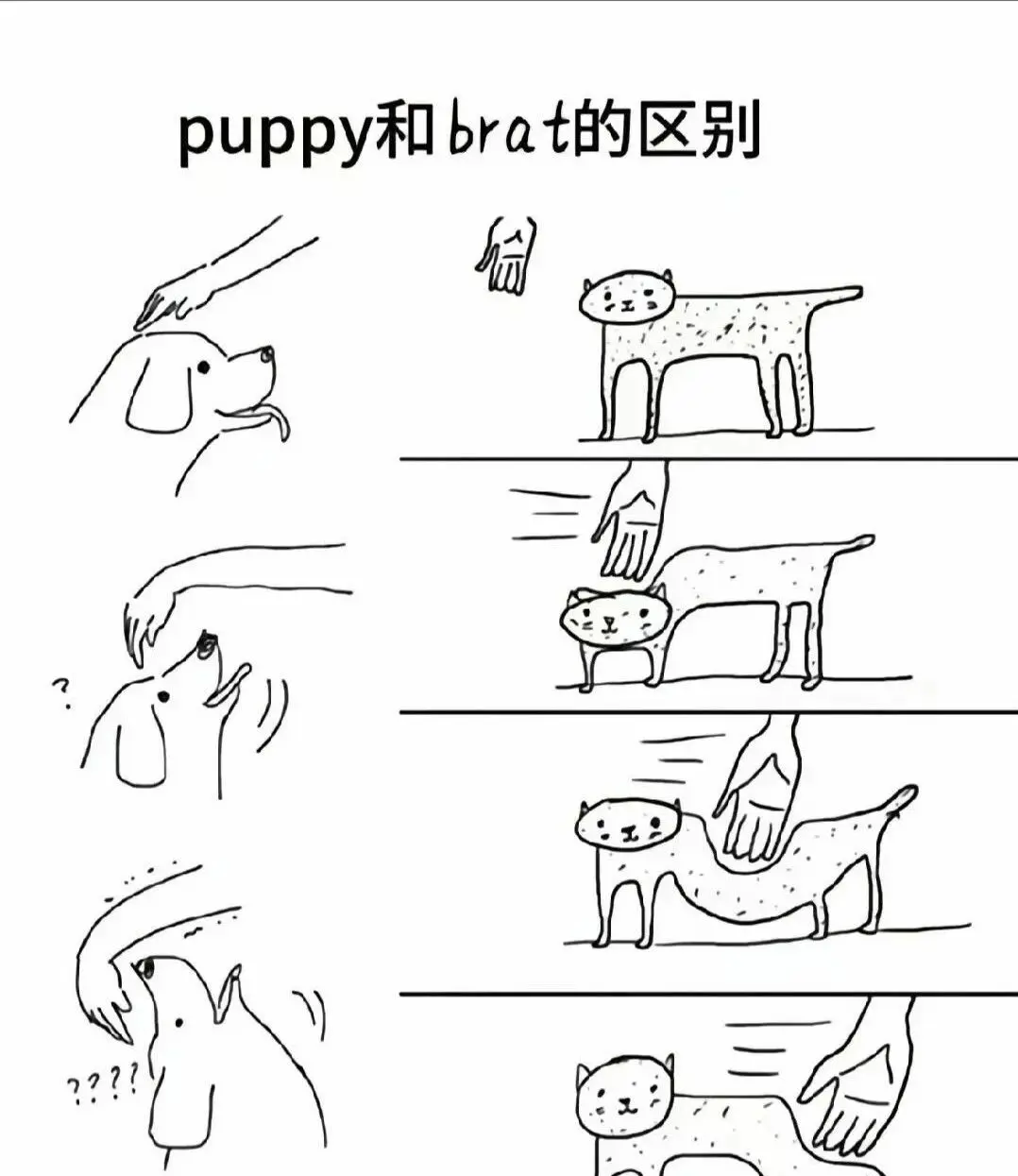 西檬之家k8猫系是什么?你的字母圈属性是哪种类型? 一